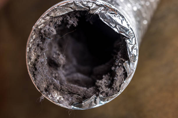 Best Dryer Vent Cleaning Services  in Seneca, IL